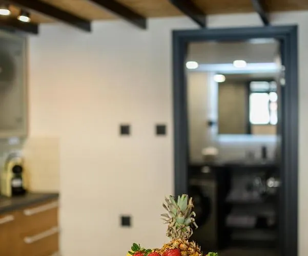 Loft 1 Apartamento Cós